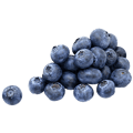F502A.png
