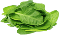 V632A.png