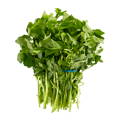 V643Z.png
