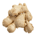V663Z.png