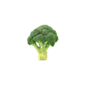 V301A.png