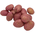 V586A.png