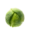 V306Z.png