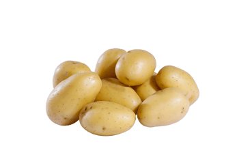 V581A.png