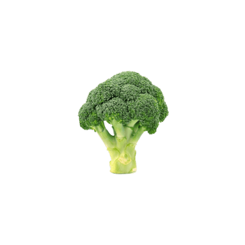 V301A.png