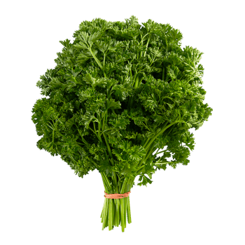 V516A.png